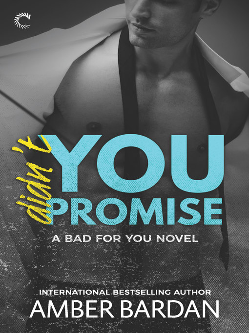 Cover image for Didn't You Promise